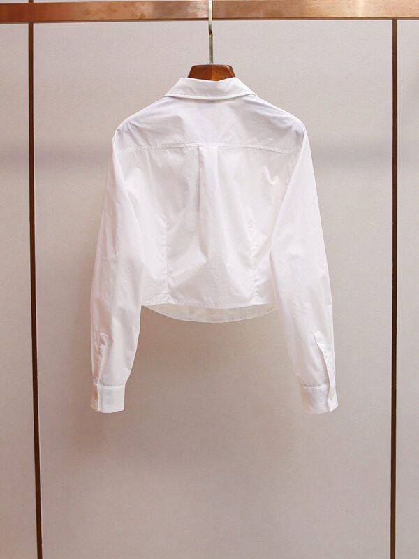 Autumn simple casual versatile short lapel long-sleeved shirt top - Image 3